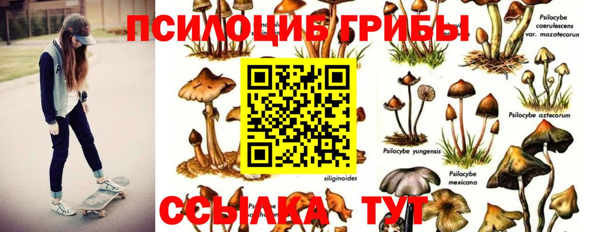 Галлюциногенные грибы Cubensis  Вход с VPN  Коломна 